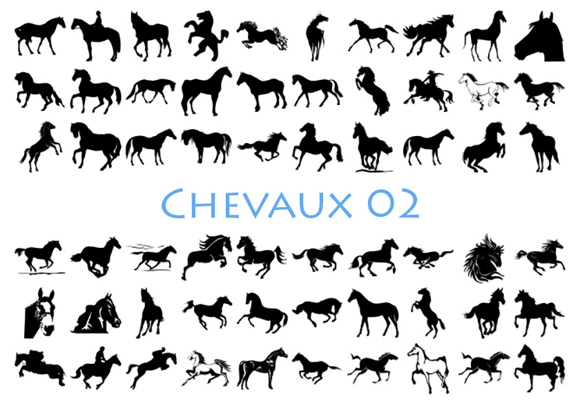 Formes Chevaux (2)