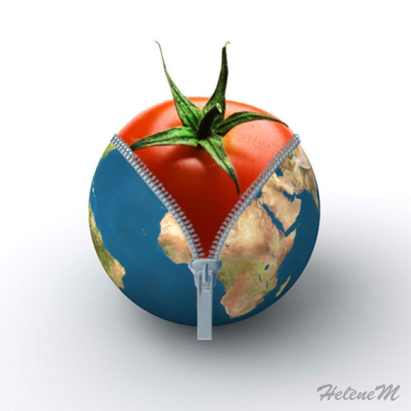 Photomontage, une tomate sous Terre