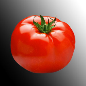 La tomate vue sous une lumière blanche
