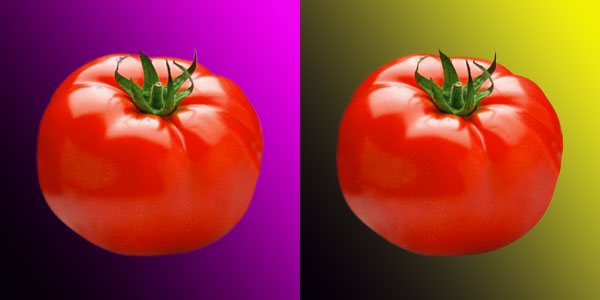 La tomate est toujours rouge quand on l'éclaire en jaune