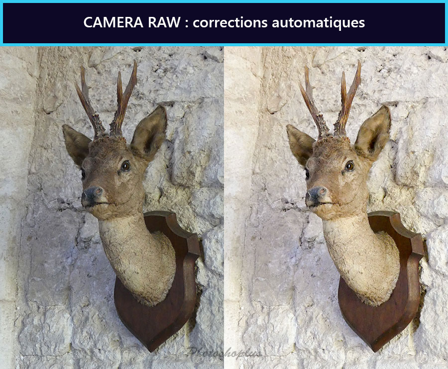 Camera Raw, corrections automatiques