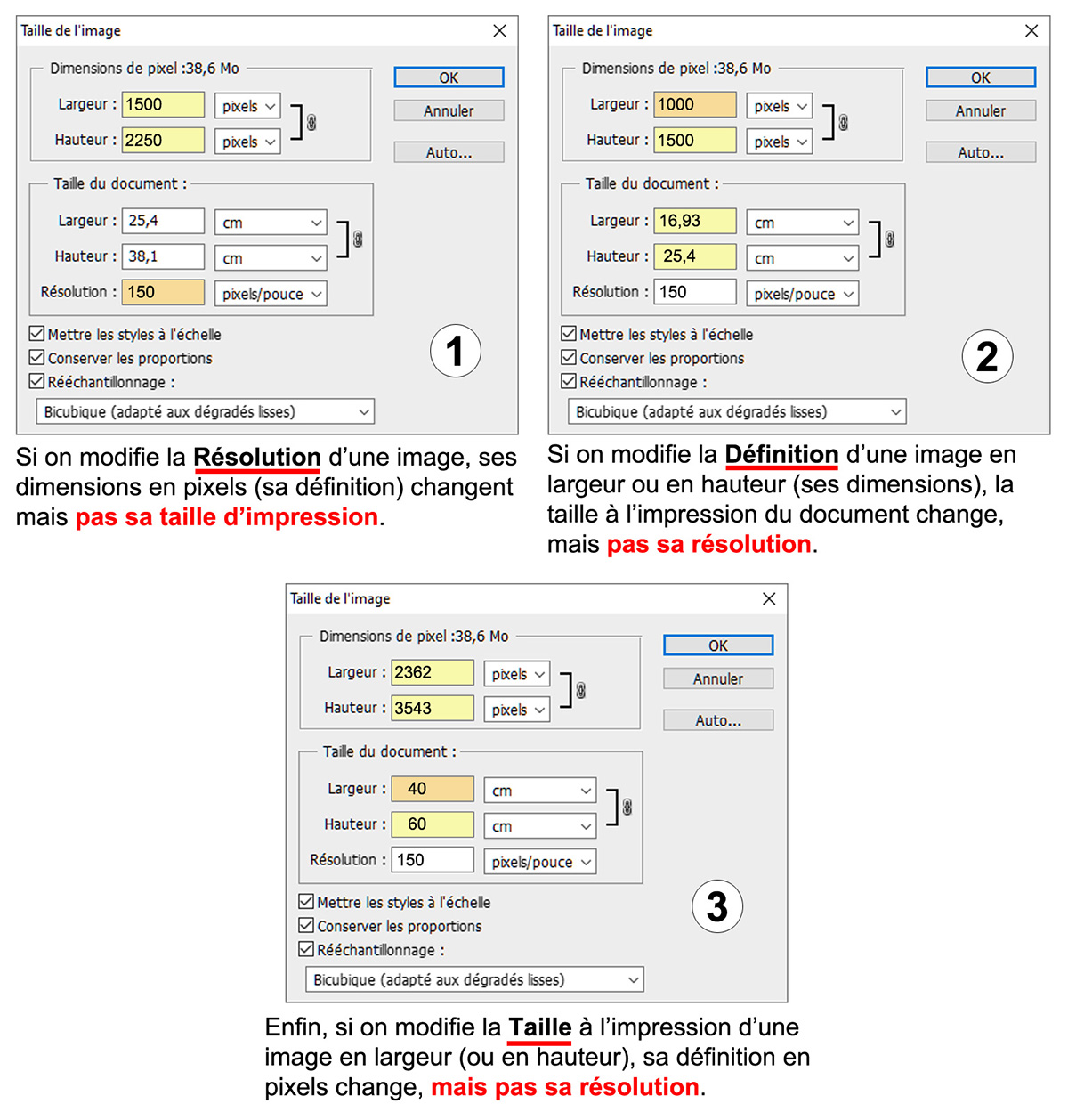 Autres exemples de Taille de l'image