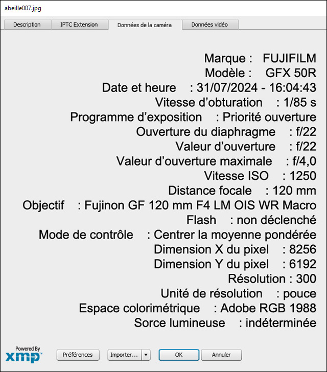 Exemple de métadonnées