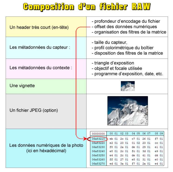 Composition d'un fichier RAW