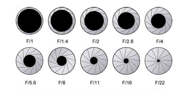 Diaphragme Diaphragme