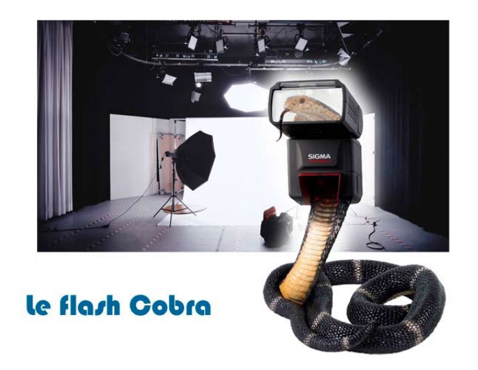 Le flash Cobra