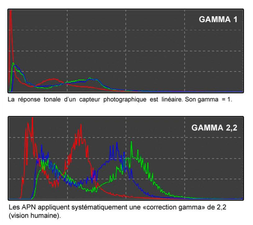 Gamma 1 et 2,2
