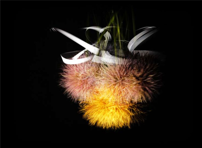 Photo stroboscopique Photo stroboscopique