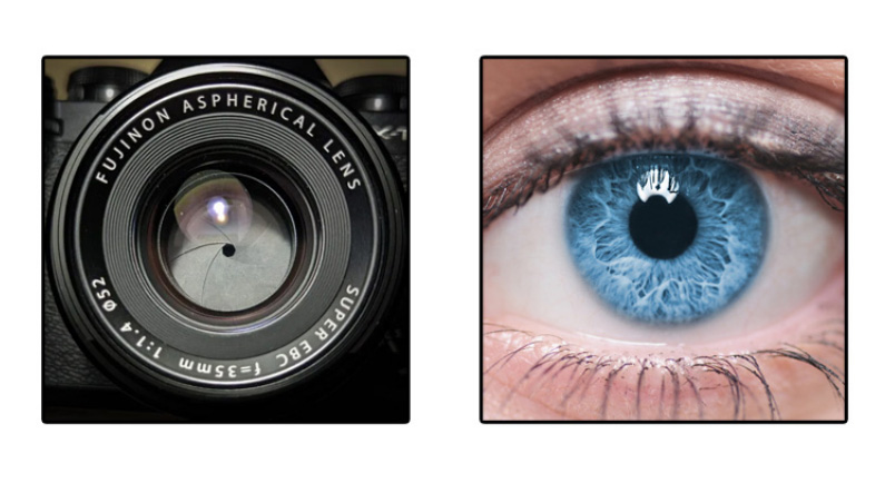 Diaphragme et iris