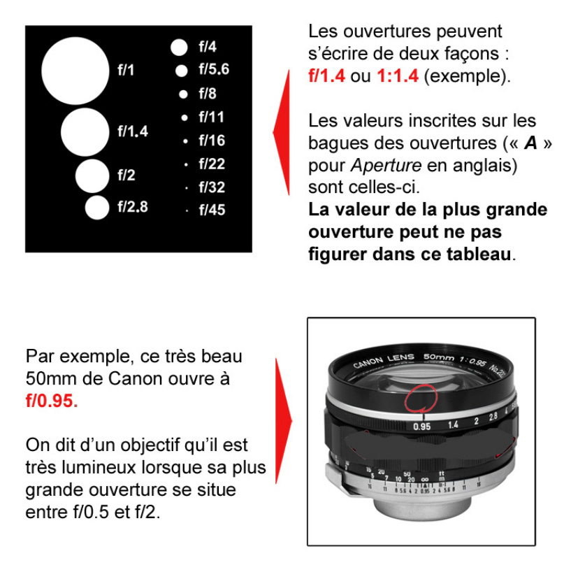 Canon 50mm