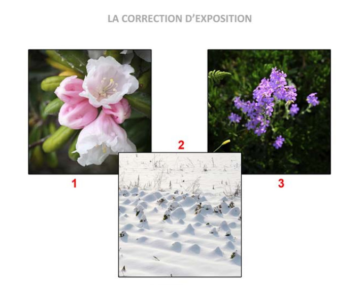 La correction d'exposition