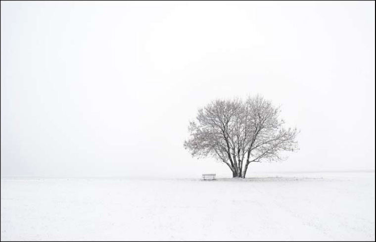 Le minimalisme et les espaces créatifs