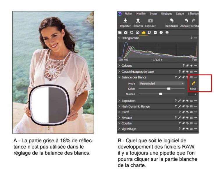 Charte grise et correction Charte grise et correction