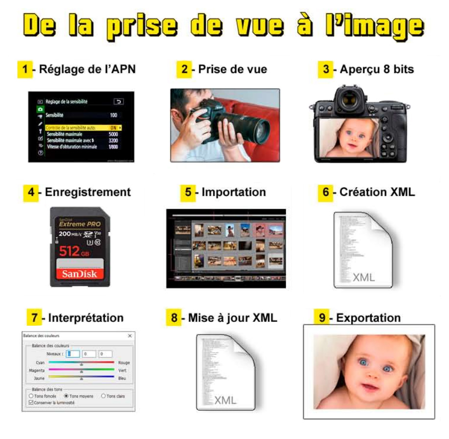 De la prise de vue à l'image