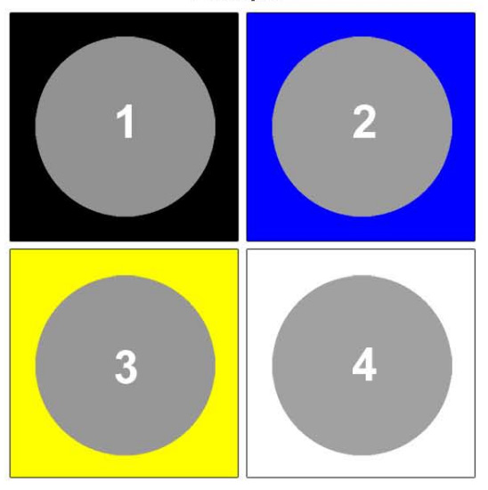Cercles gris
