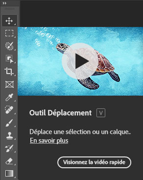 Exemple d'un infobulle riche