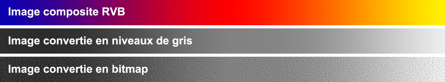 Images en RVB, Niveaux de gris et convertie en Bitmap