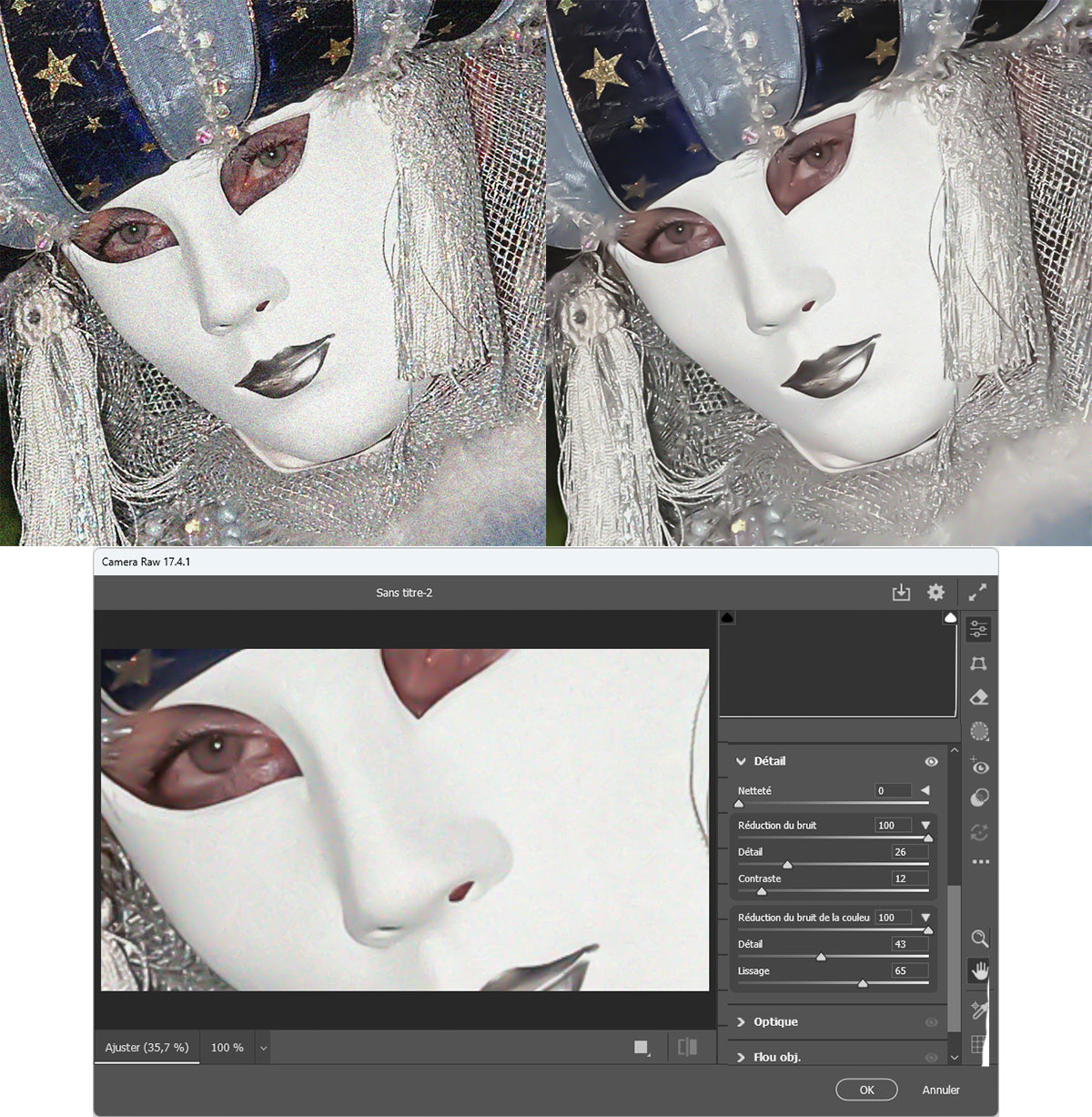 Exemple de correction du bruit avec Camera Raw Exemple de correction du bruit avec Camera Raw