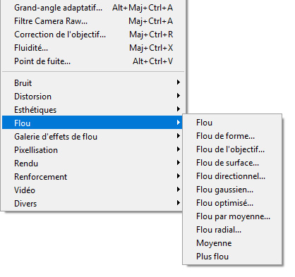 11 filtres de flou 11 filtres de flou