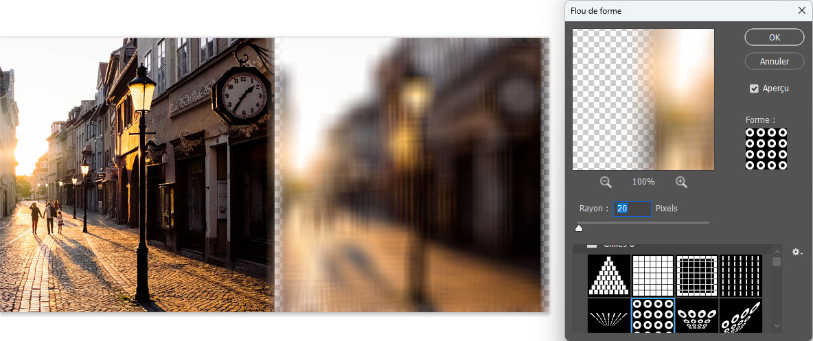 Exemple de flou avec une forme (grille) Exemple de flou avec une forme (grille)