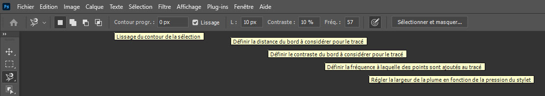 Options de l'outil Lasso magnétique