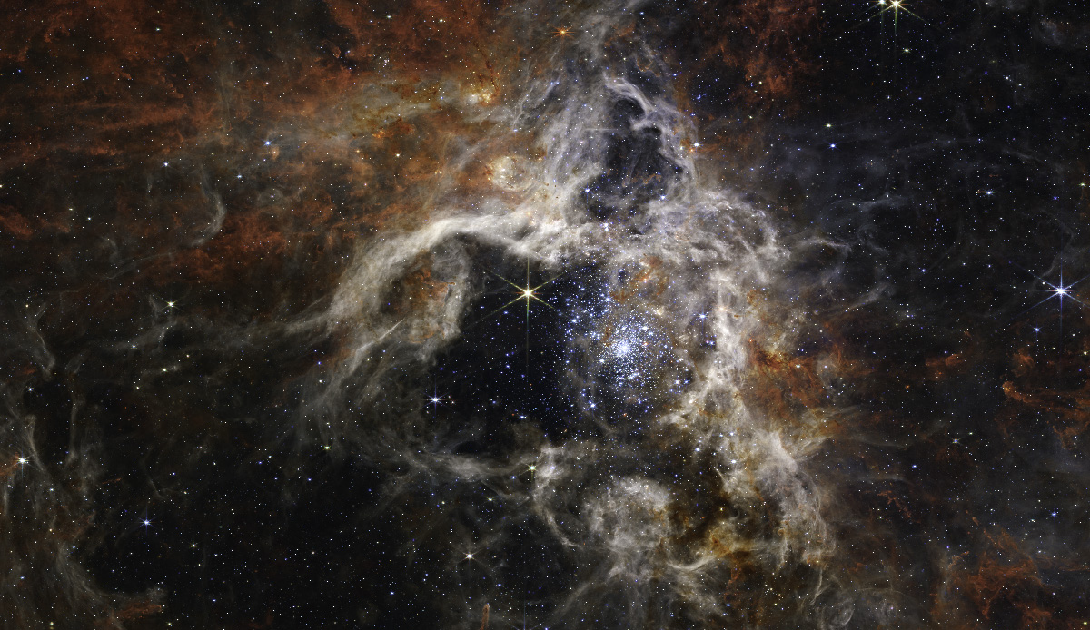 Nébuleuse de la Tarentule (Tarantula Nebula) (NGC 2070)