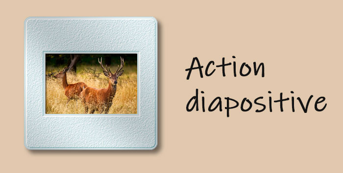 Actions Diapositive