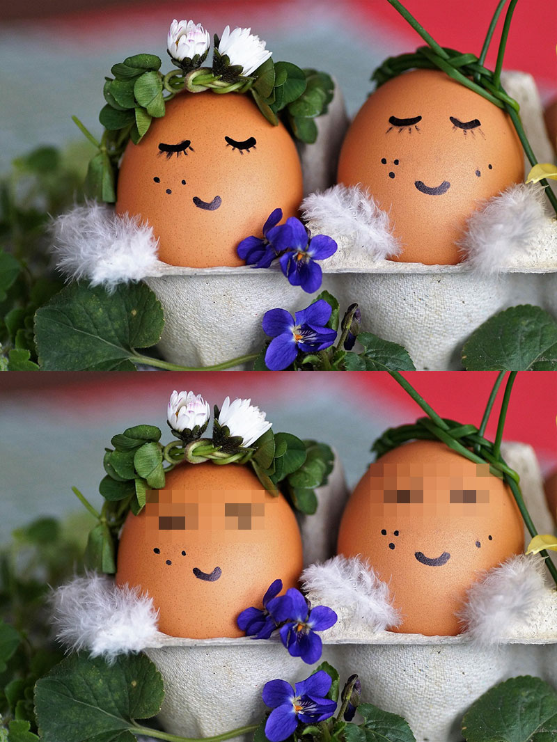 Exemple de plusieurs zones floutées