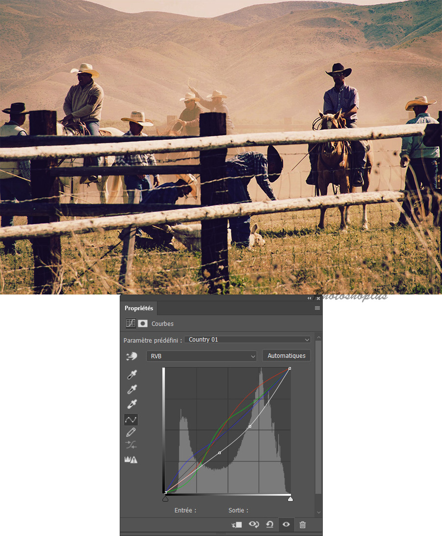 Image avec courbe Country 01 Image avec courbe Country 01