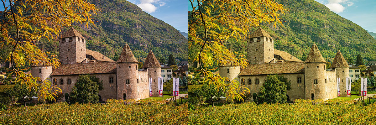 Avec courbe Laurier Avec courbe Laurier