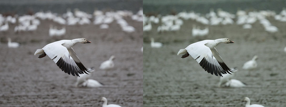 Avec courbe Vert-1 Avec courbe Vert-1