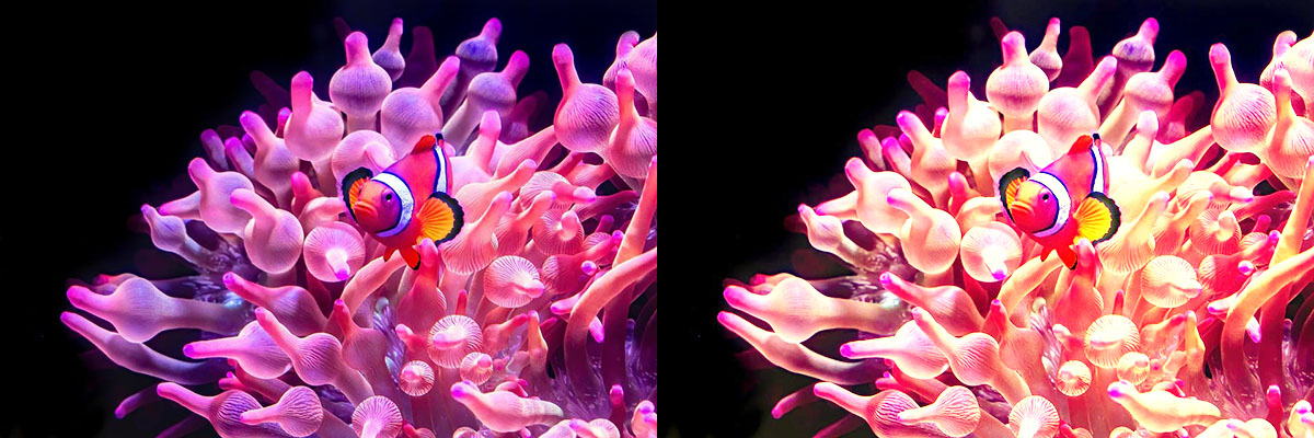 Avec courbe Jaune-10 Avec courbe Jaune-10