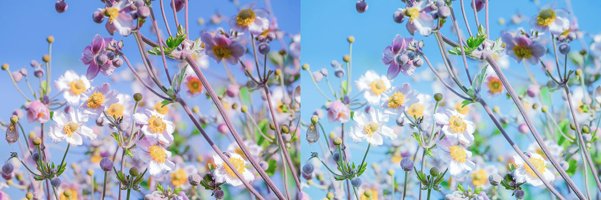 Avec courbe Turquoise-3 Avec courbe Turquoise-3