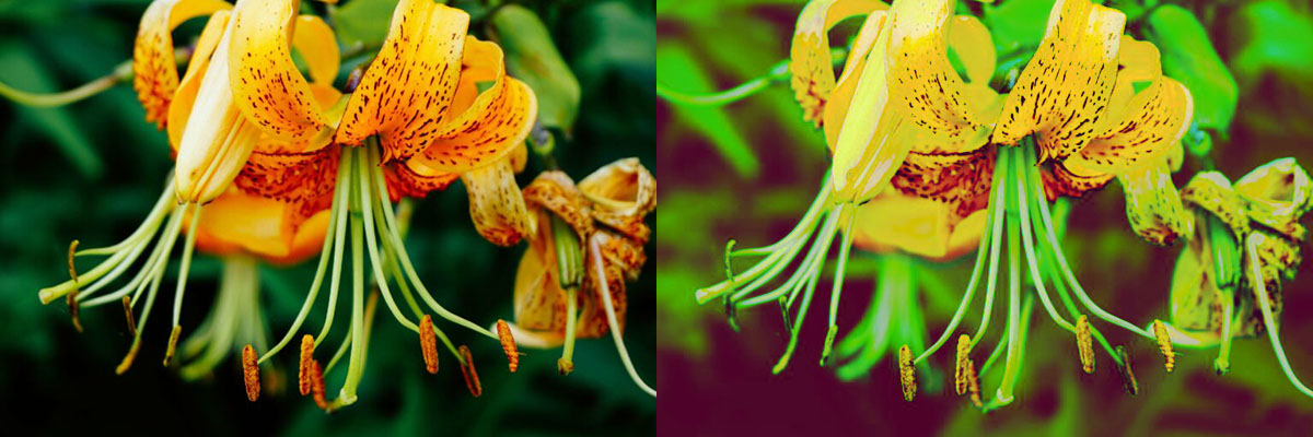 Avec courbe Oxane Avec courbe Oxane