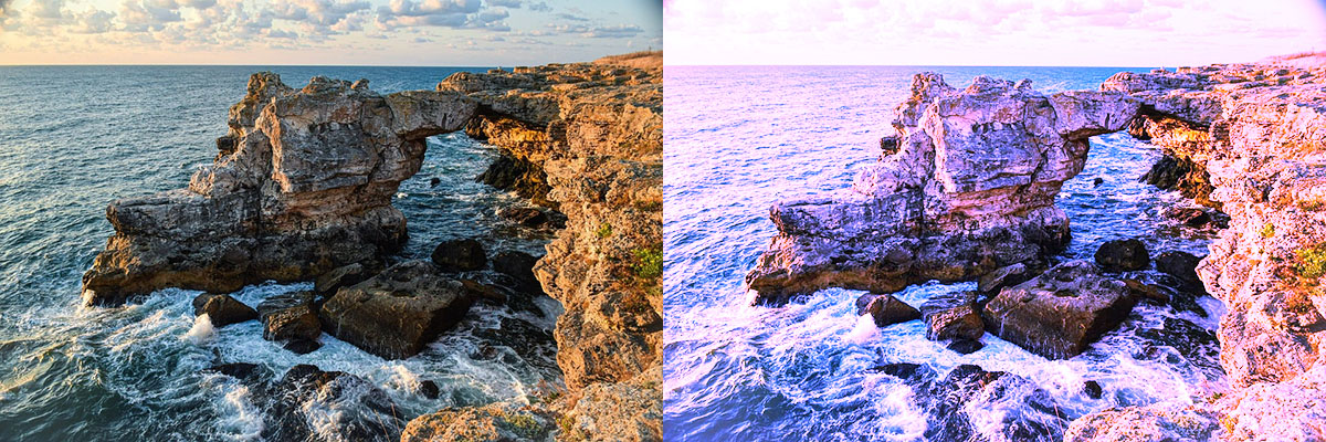 Avec courbe Poussiere-de-fee Avec courbe Poussiere-de-fee