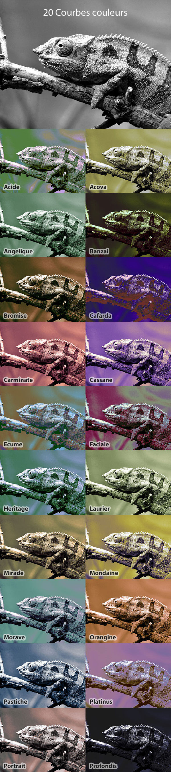 20 Paramètres Courbes (10) 20 Paramètres Courbes (10)