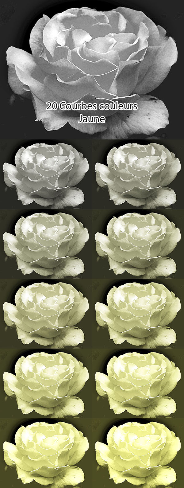 10 Paramètres courbes Jaune 10 Paramètres courbes Jaune