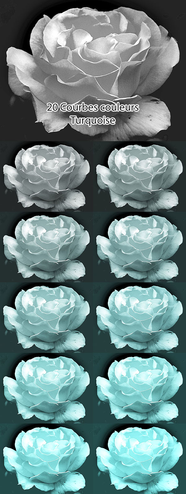 10 Paramètres courbes Turquoise 10 Paramètres courbes Turquoise