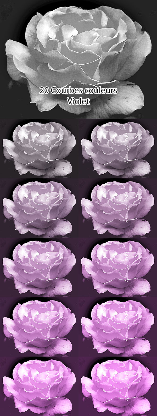 10 Paramètres courbes Violet 10 Paramètres courbes Violet