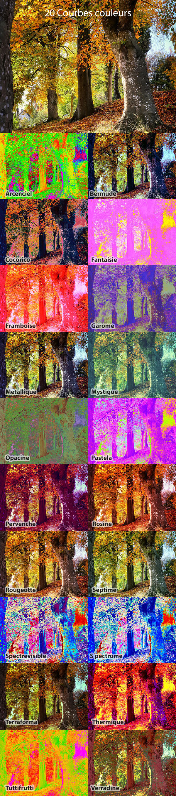 20 Paramètres Courbes (8) 20 Paramètres Courbes (8)