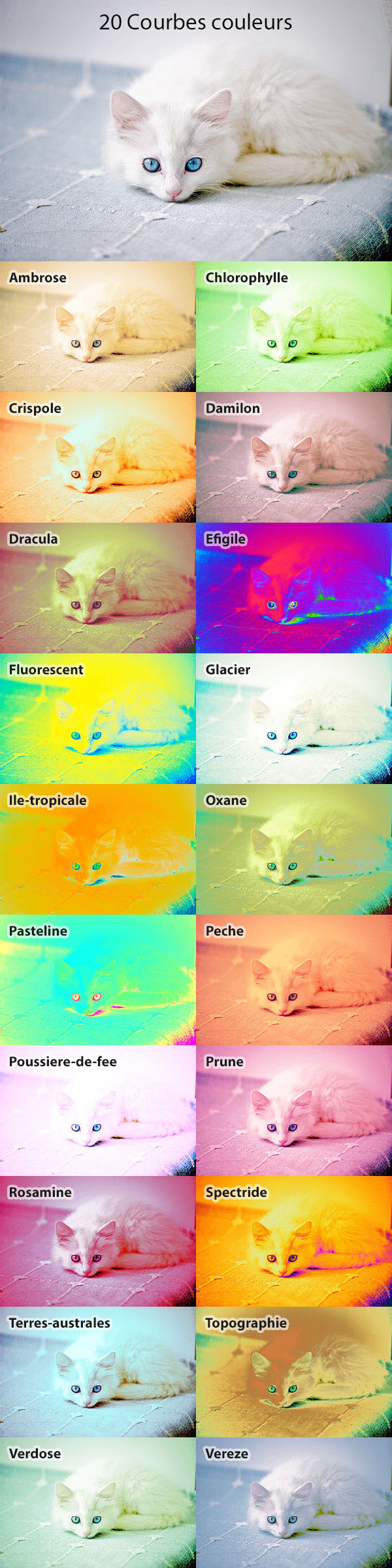 20 Paramètres Courbes (9) 20 Paramètres Courbes (9)