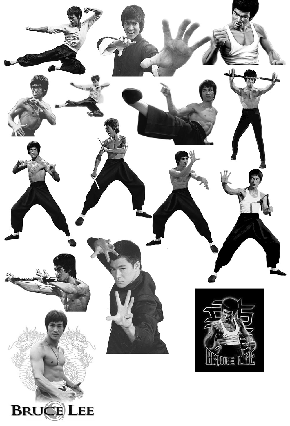 Pinceaux Bruce Lee