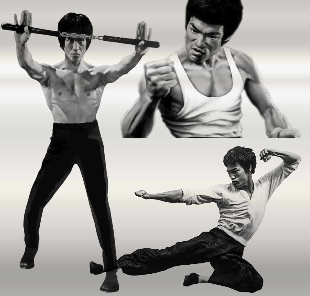 Pinceaux Bruce Lee