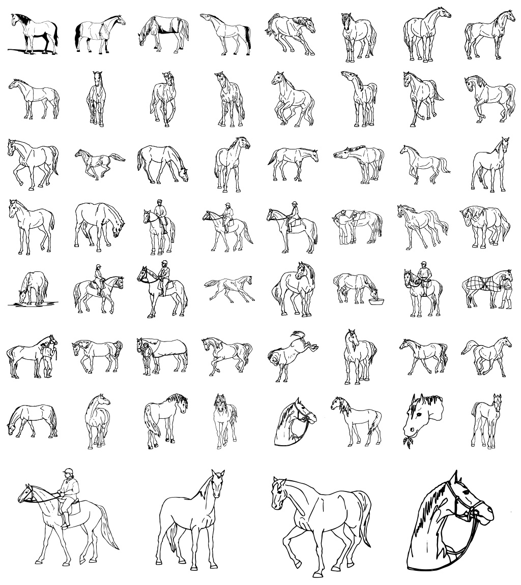 Formes Chevaux (3)