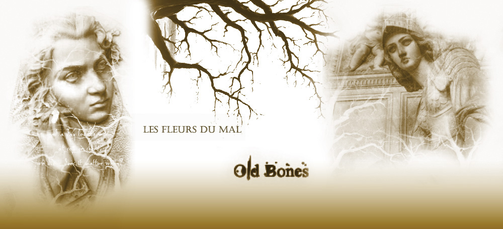 Pinceaux Old bones