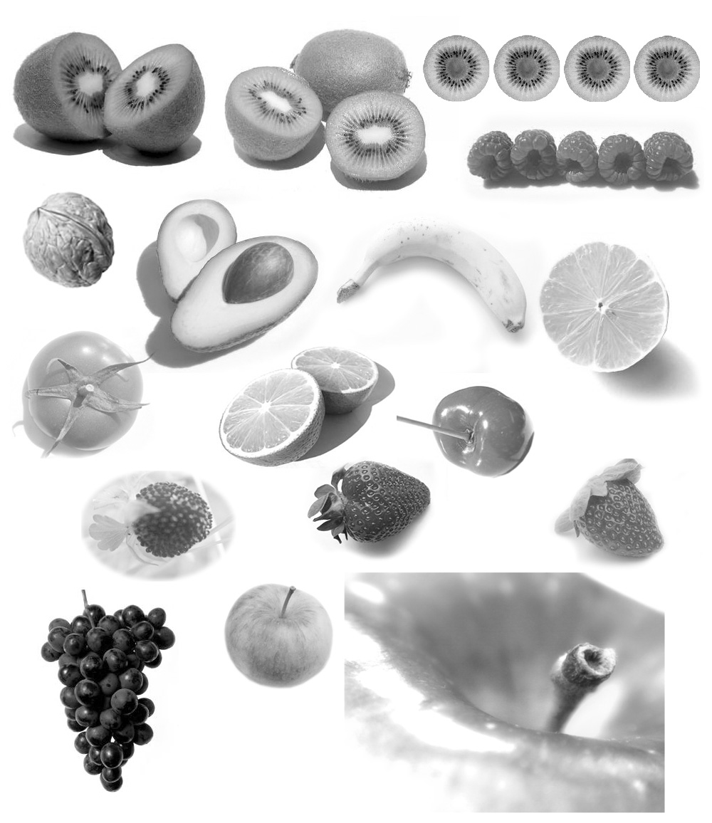 Pinceaux Fruits (site Spy-Glass)