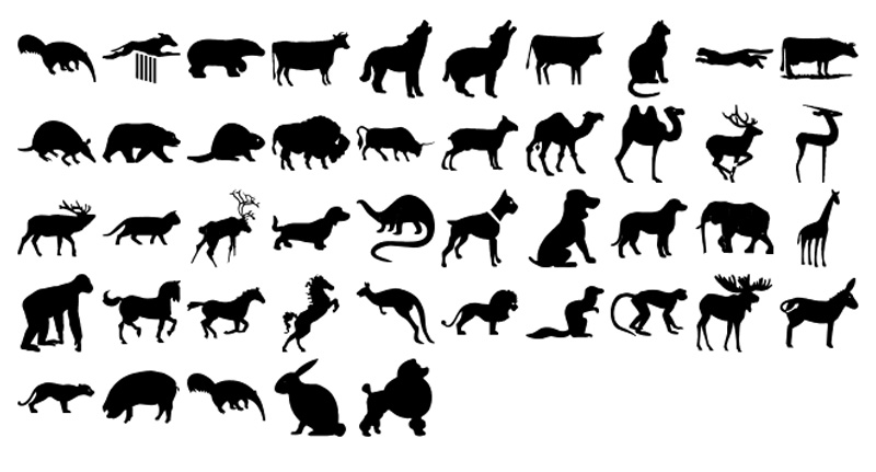 Formes Animaux (3) Formes Animaux (3)