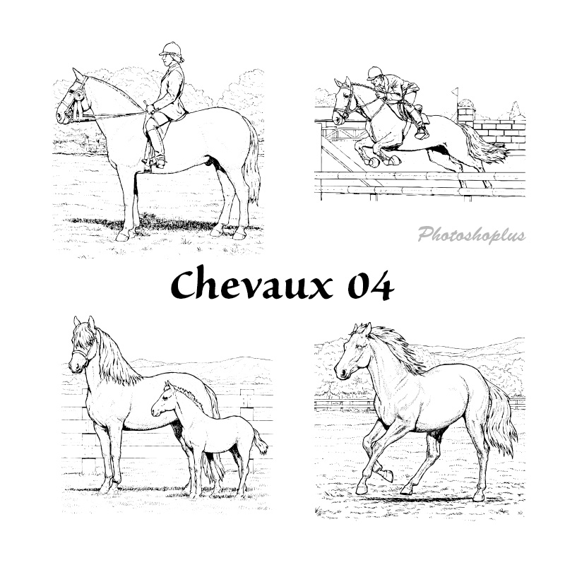 Formes Chevaux (4)