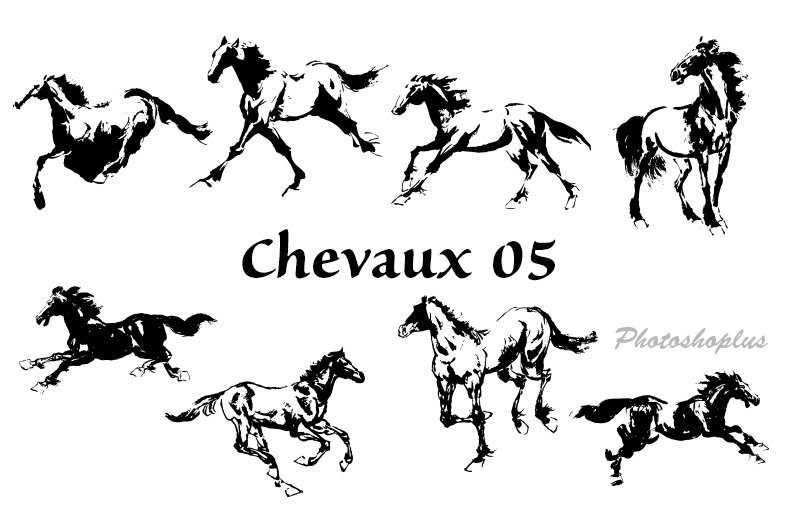 Formes Chevaux (5)