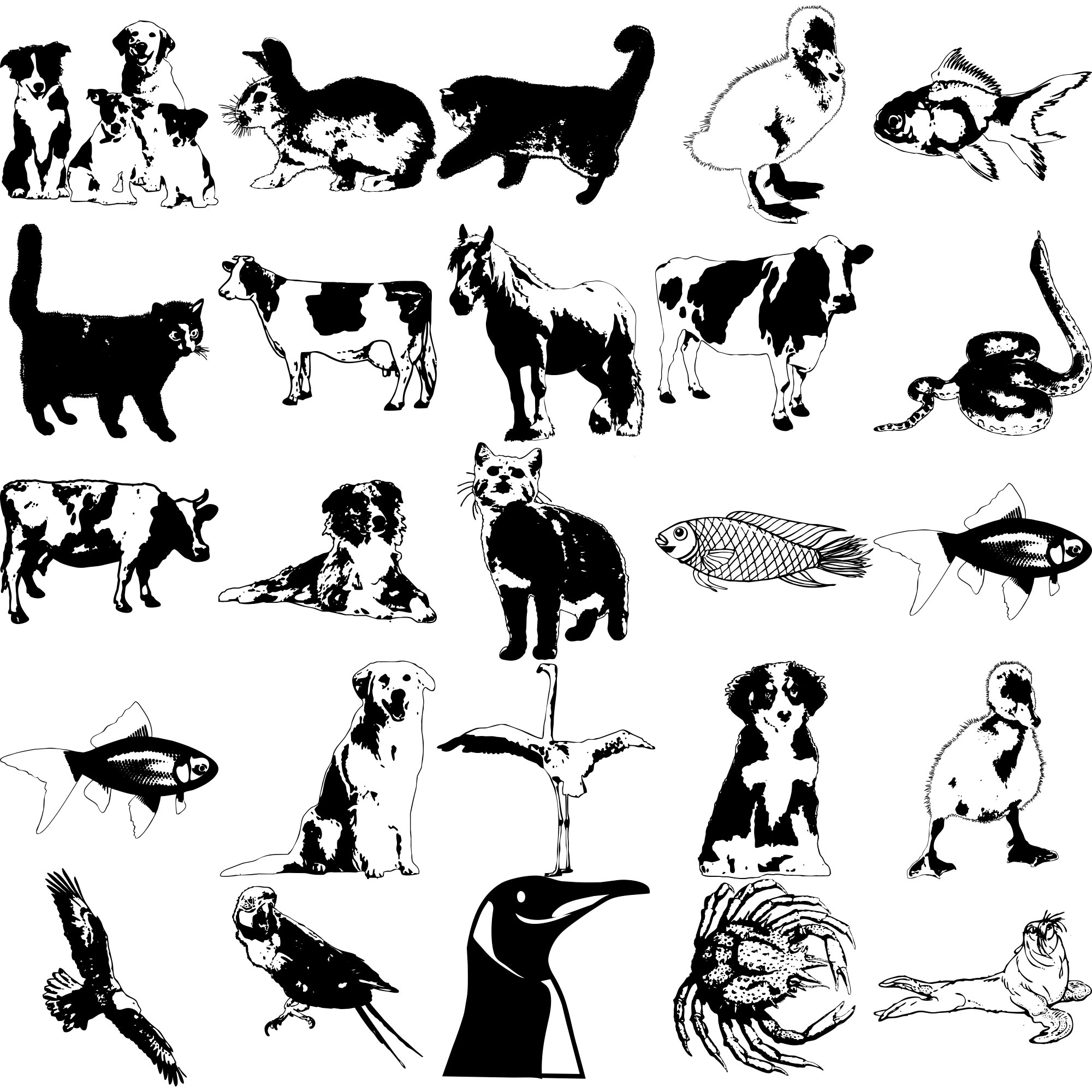 Formes Animaux (10)